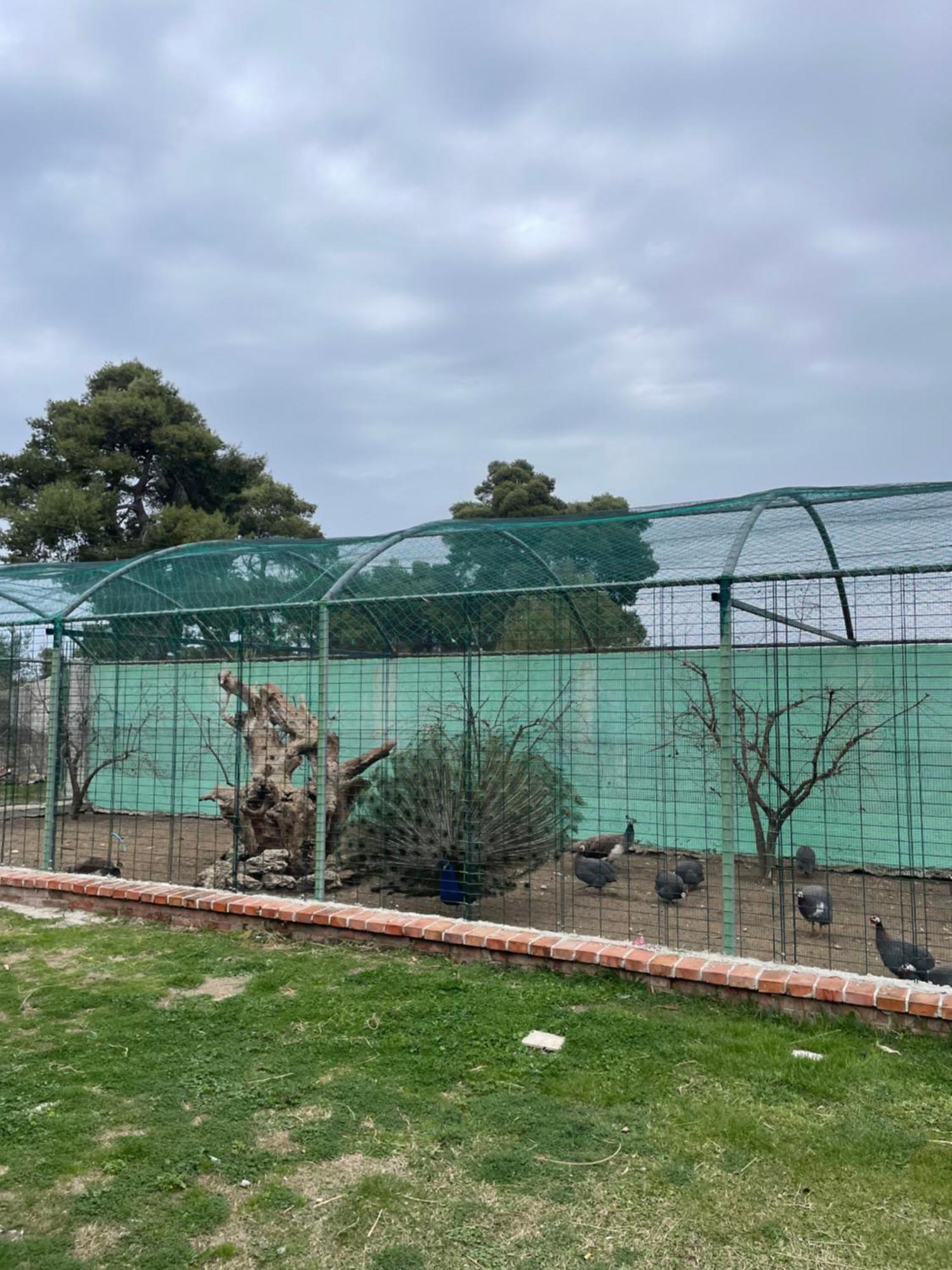 מלון פייר Agroturizem Eldi מראה חיצוני תמונה