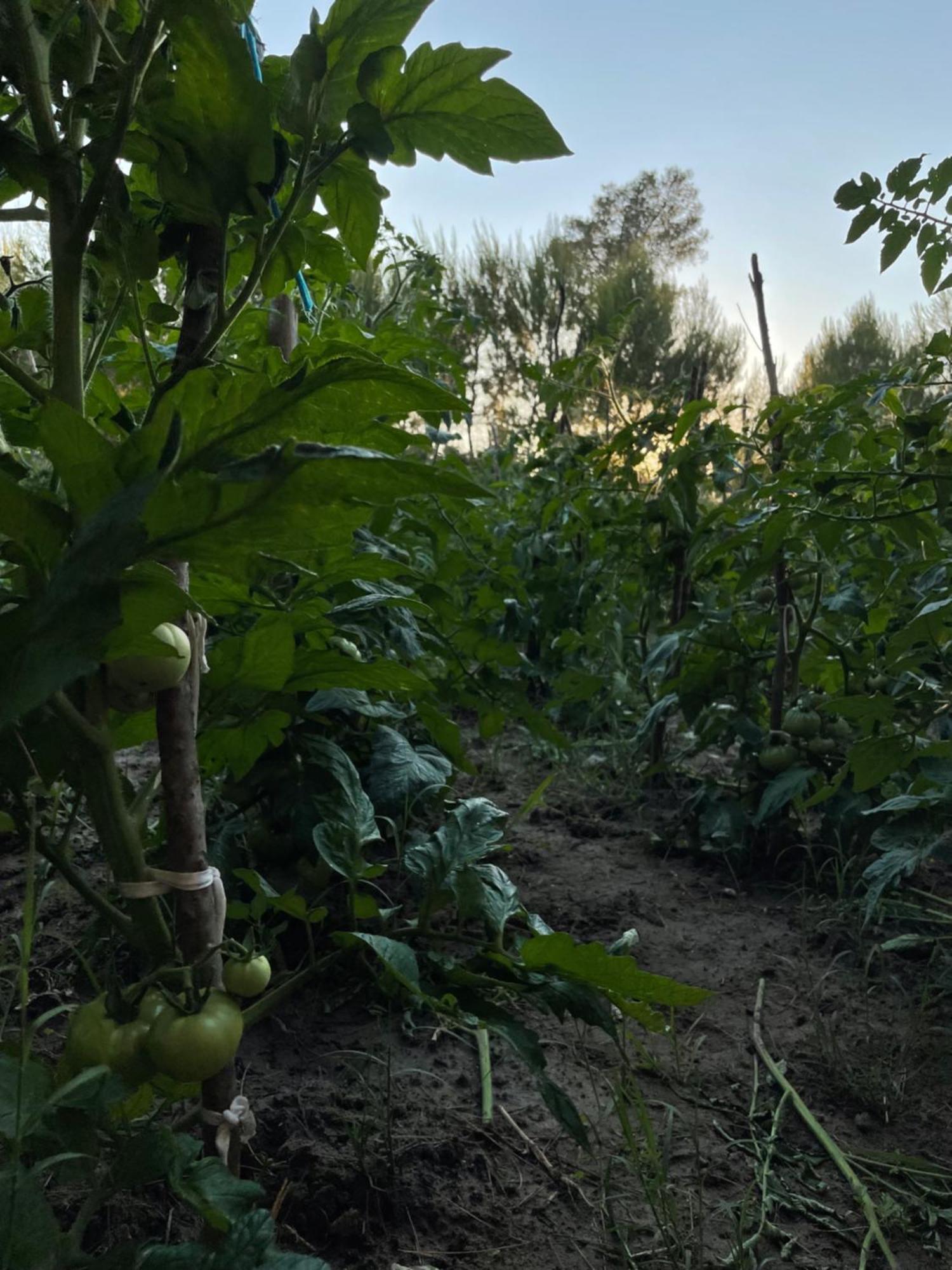 מלון פייר Agroturizem Eldi מראה חיצוני תמונה