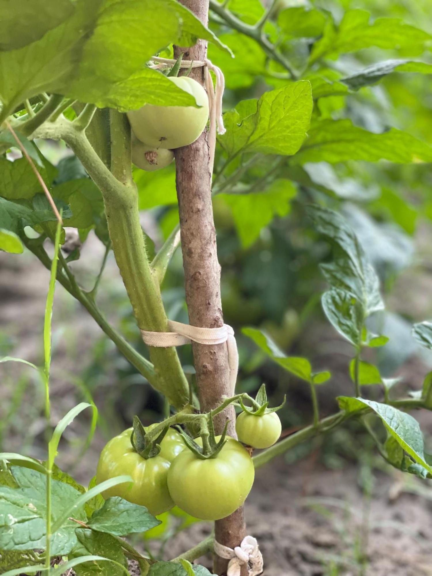 מלון פייר Agroturizem Eldi מראה חיצוני תמונה